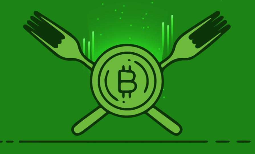 what is a fork in crypto