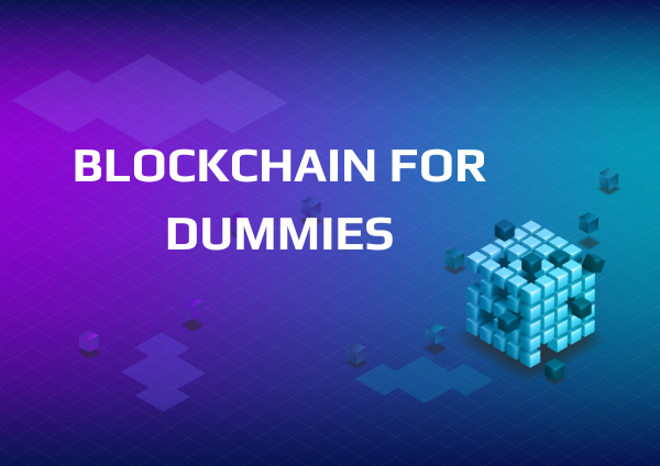 The Quirky Quest to Decode the Blockchain Buzz for Dummies